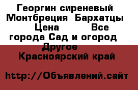 Георгин сиреневый. Монтбреция. Бархатцы.  › Цена ­ 100 - Все города Сад и огород » Другое   . Красноярский край